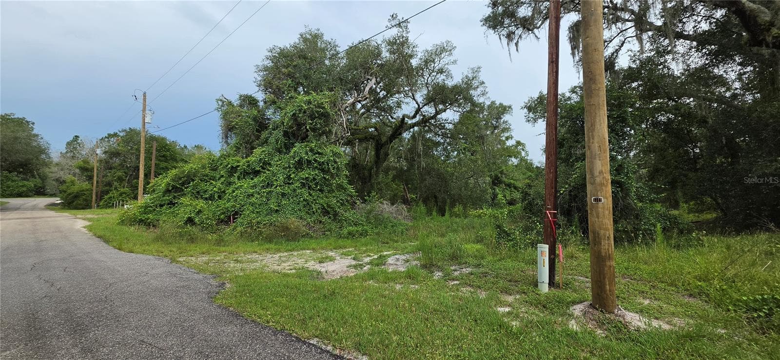 Land at 0 ROUND TABLE RD, DADE CITY, photo 6 of 12