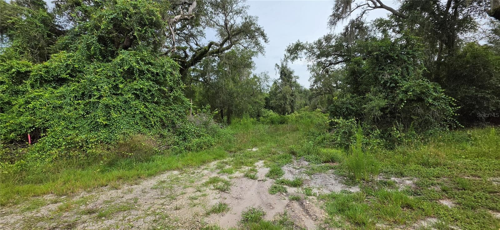 Land at 0 ROUND TABLE RD, DADE CITY, photo 7 of 12