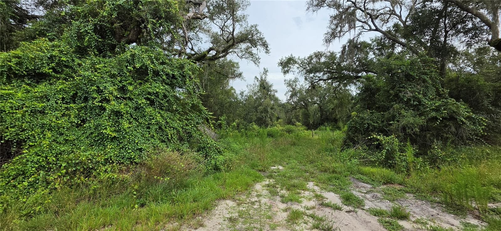 Land at 0 ROUND TABLE RD, DADE CITY, photo 8 of 12
