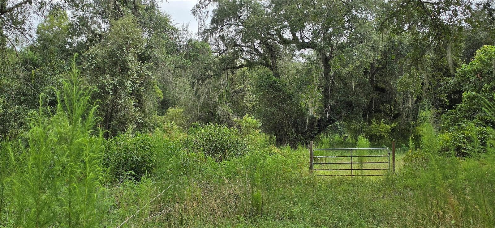 Land at 0 ROUND TABLE RD, DADE CITY, photo 9 of 12