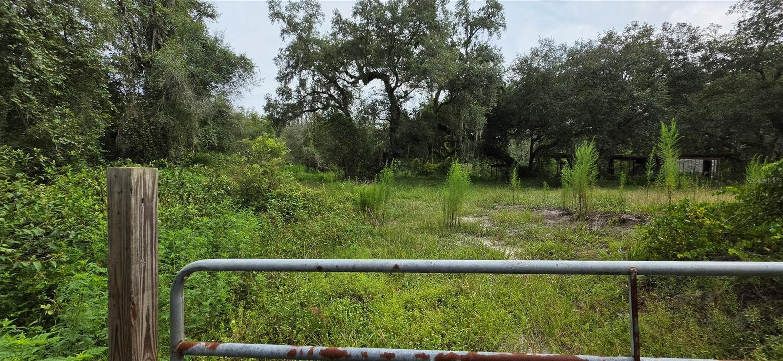 Land at 0 ROUND TABLE RD, DADE CITY, photo 10 of 12