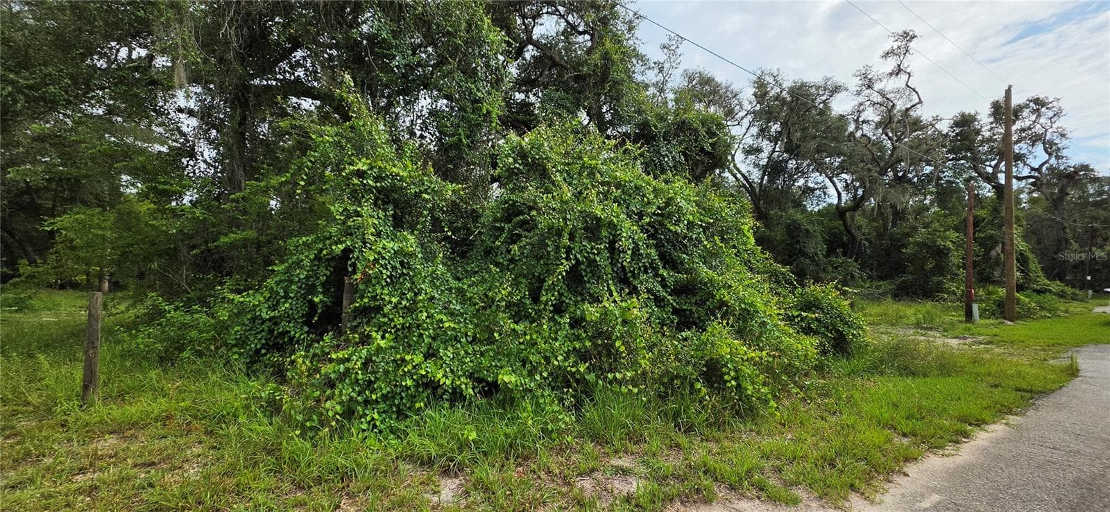 Land at 0 ROUND TABLE RD, DADE CITY, photo 11 of 12