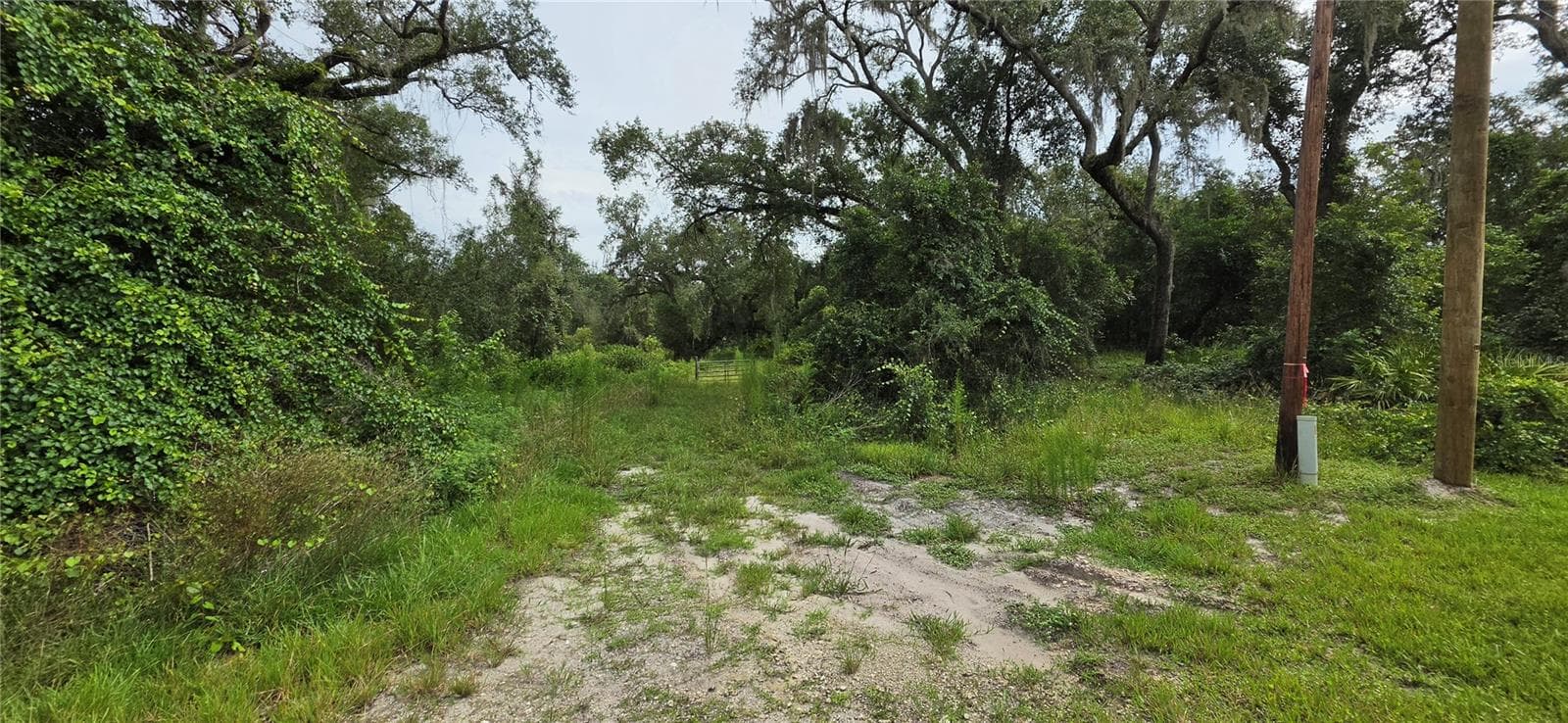 Land at 0 ROUND TABLE RD, DADE CITY, photo 12 of 12