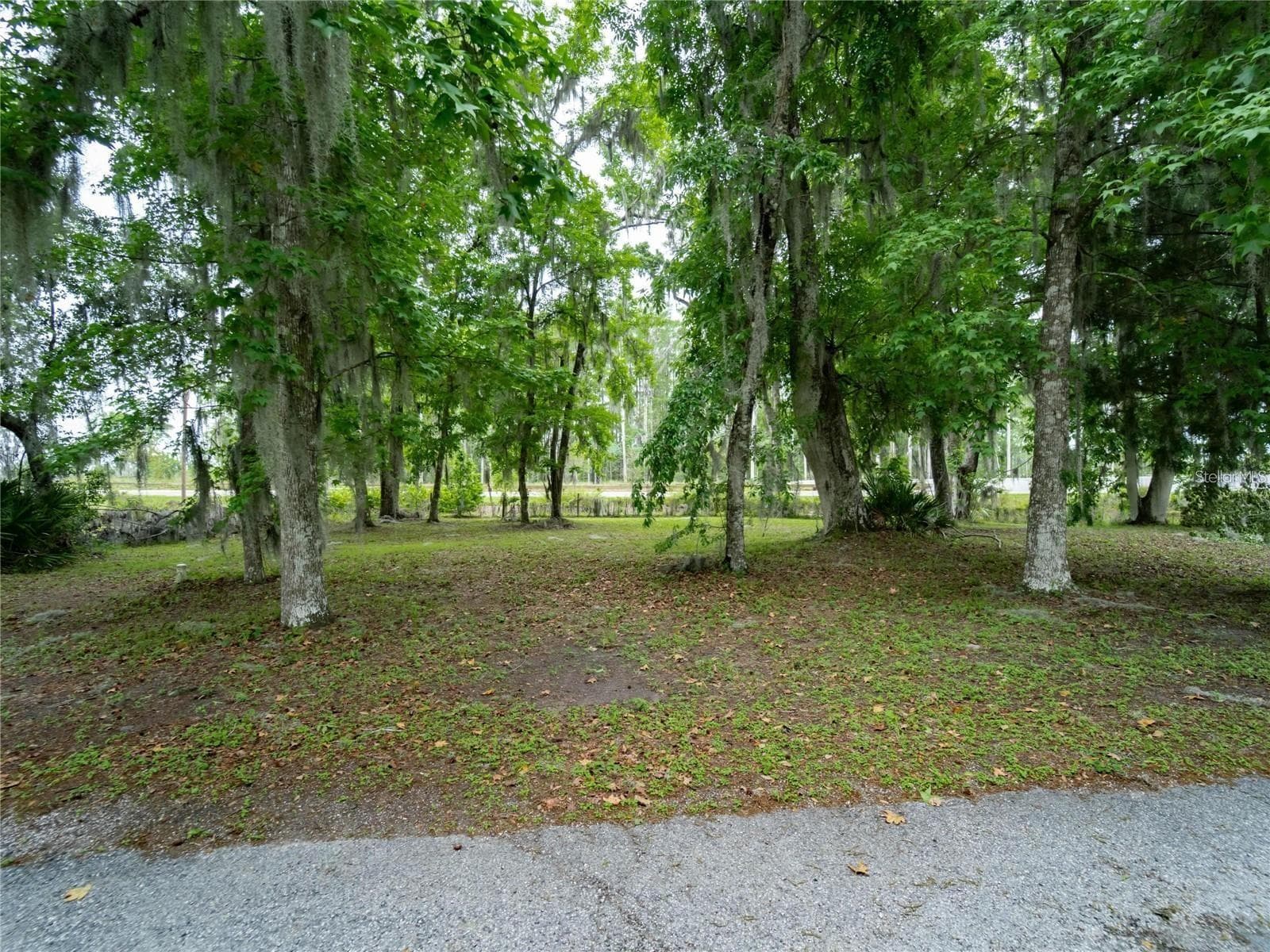 Land at Lot 56 Blk C LEXINGTON DR, WILDWOOD, photo 5 of 9