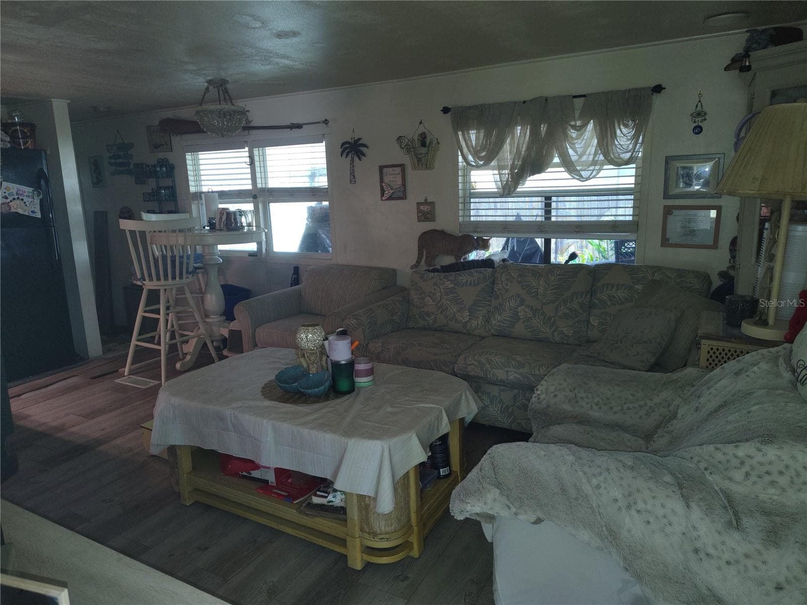 Living Room - 37748 MARKLAND AVE, ZEPHYRHILLS
