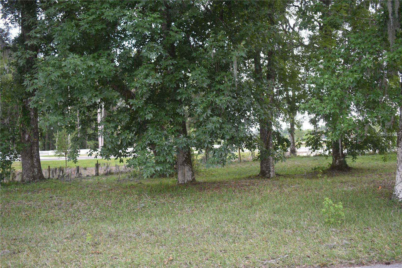 Land at LOT 60 BLK C LEXINGTON CIR, WILDWOOD, photo 3 of 7