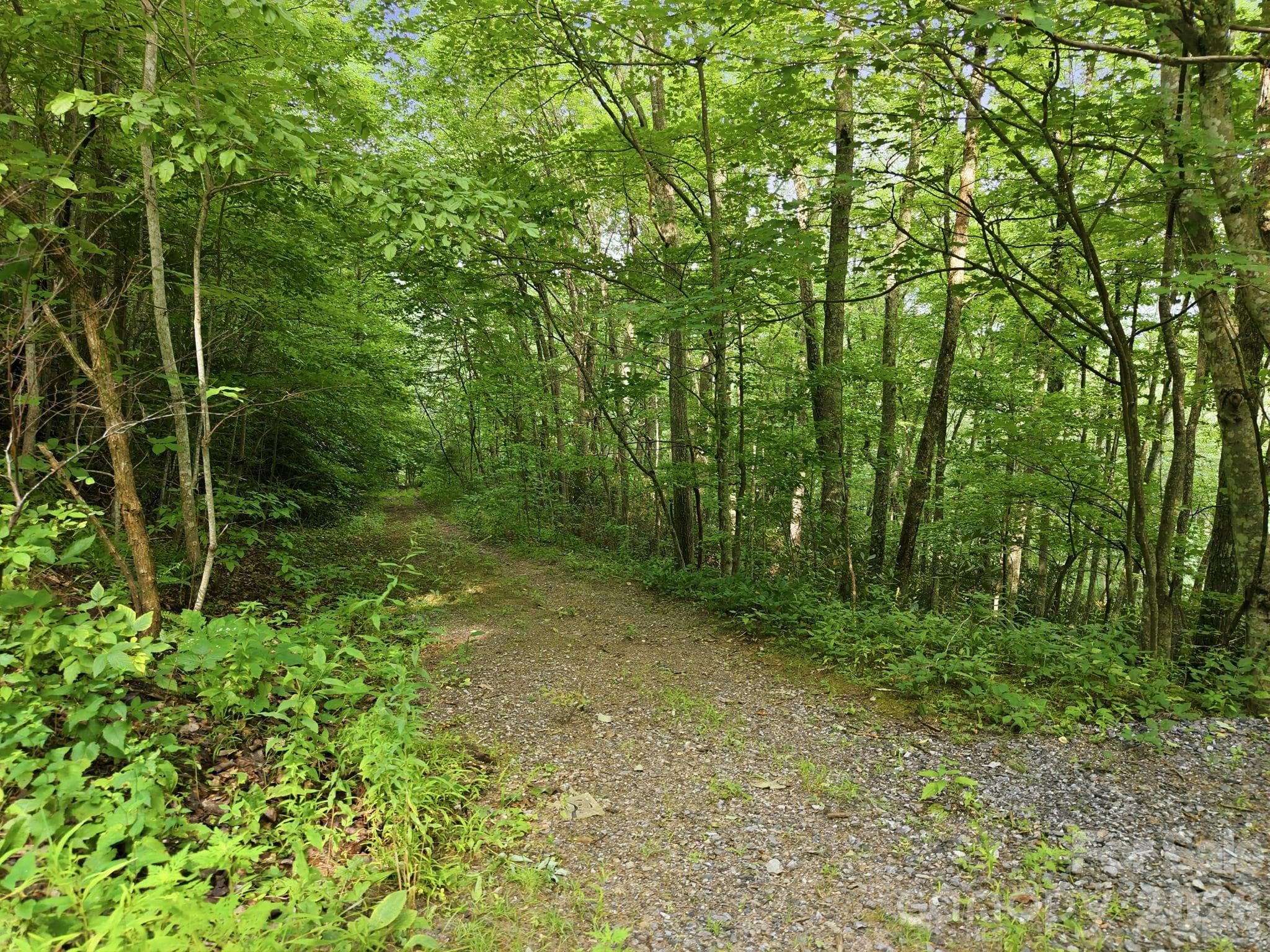 Lot at Clyde, photo 2 of 27