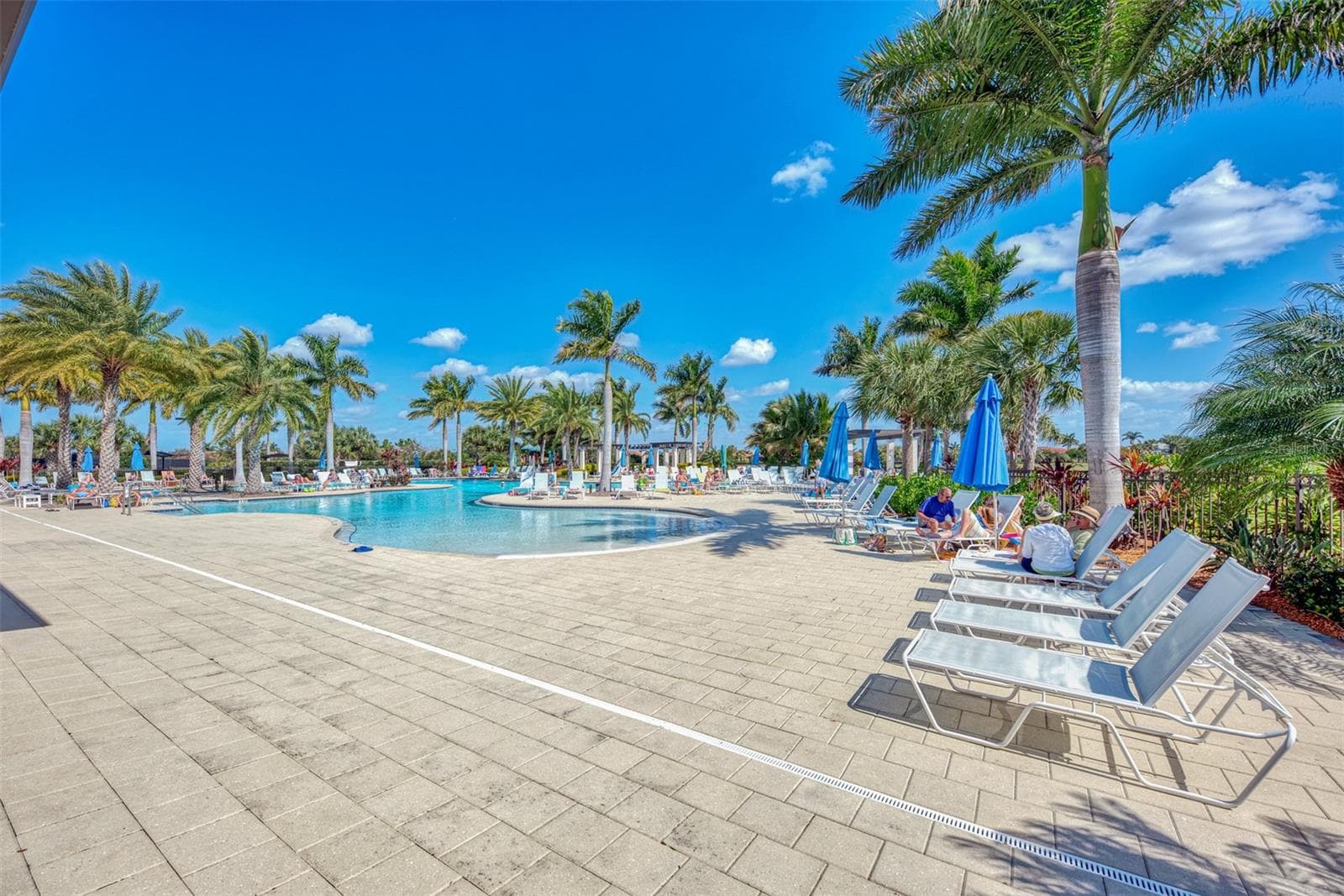 The lanai on the community pool is simply stunning - grab a chair, enjoy the water, or grab something to eat.  It's all good. - 10821 TARFLOWER DR #202, VENICE