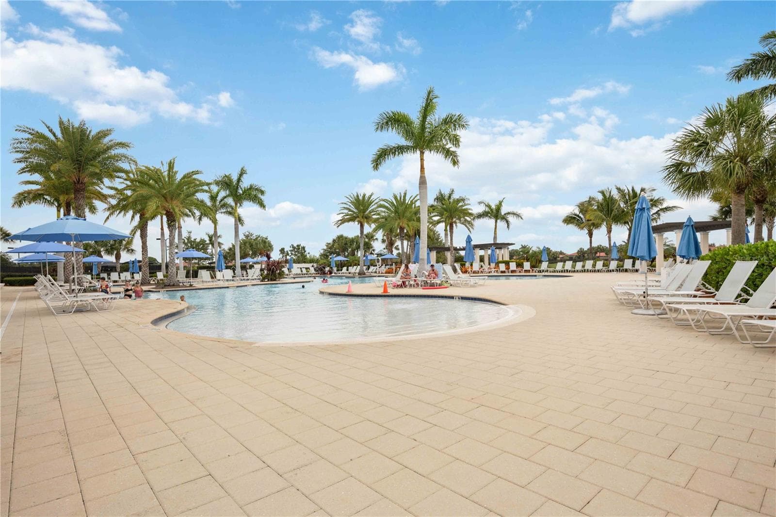 The lanai on the community pool is simply stunning - grab a chair, enjoy the water, or grab something to eat.  It's all good. - 10821 TARFLOWER DR #202, VENICE