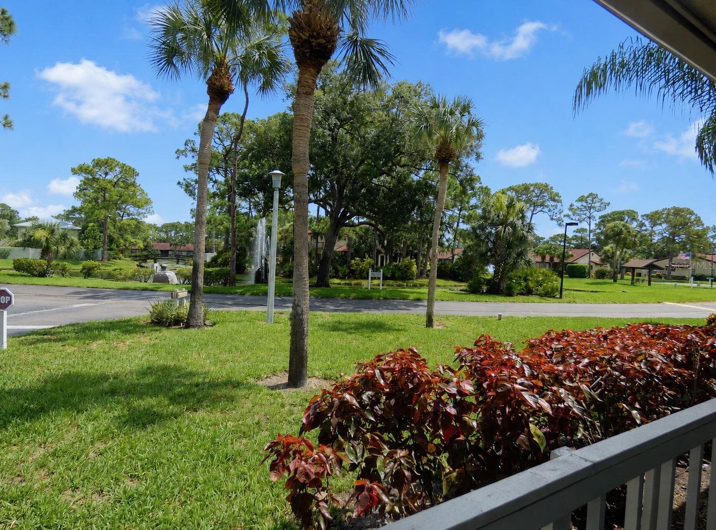 your front yard and you do othing - 7917 PINEGROVE CT #1, SARASOTA