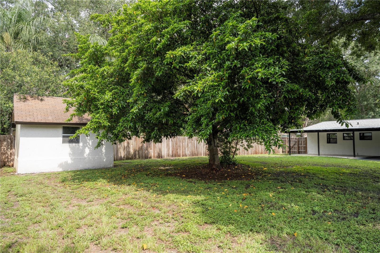 Backyard - 4104 W WISCONSIN AVE, TAMPA