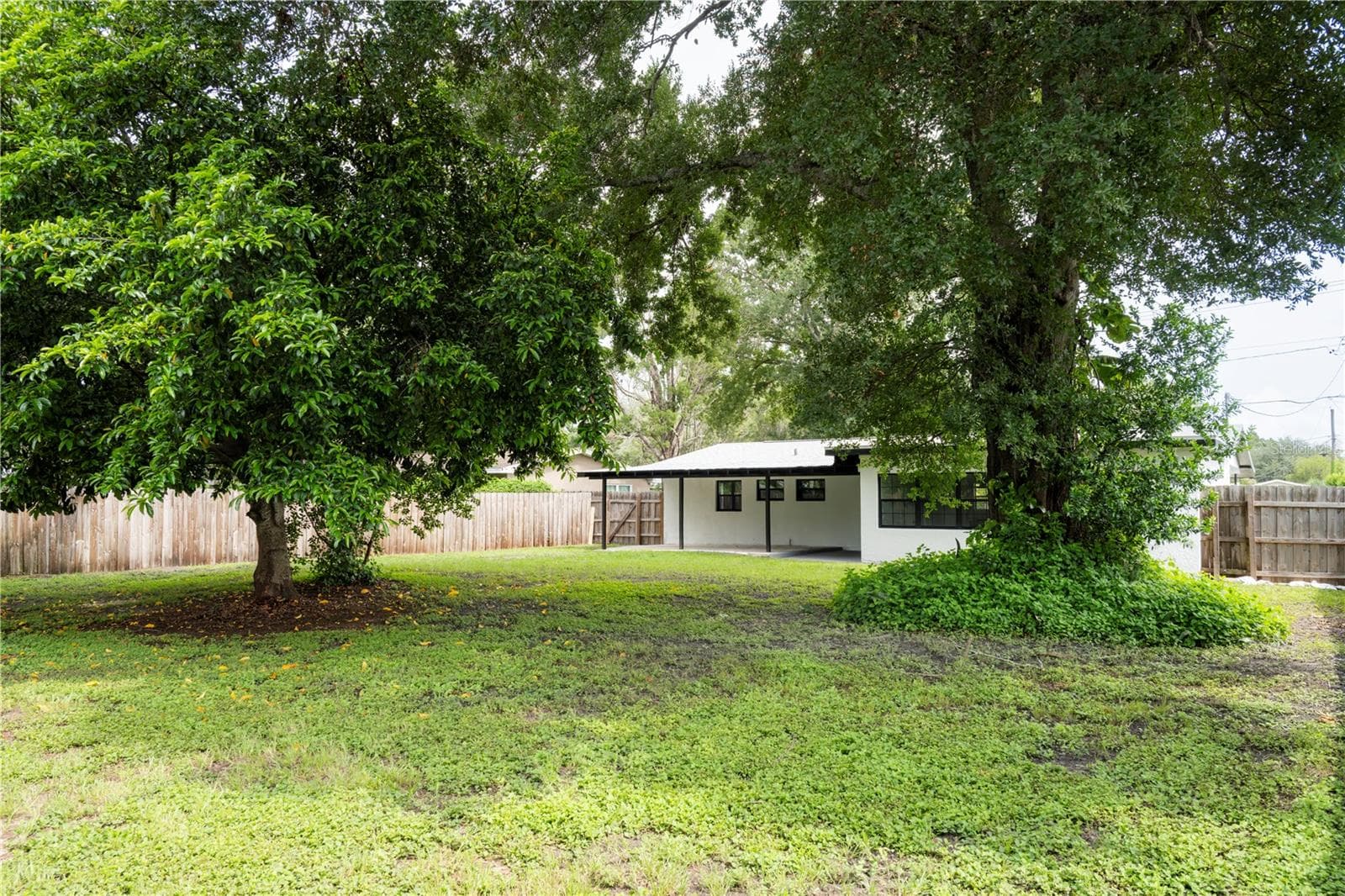Backyard - 4104 W WISCONSIN AVE, TAMPA