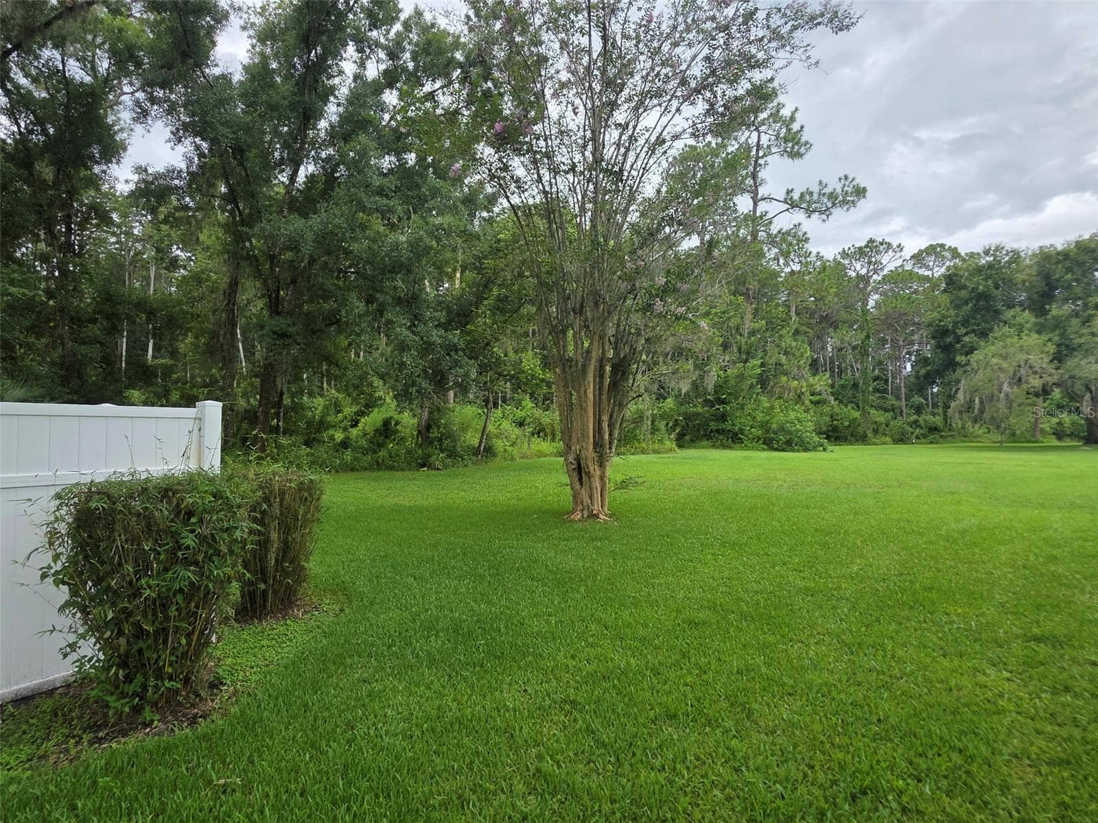Condominium at 1781 SAMURAI PT #P9, LUTZ, photo 23 of 25