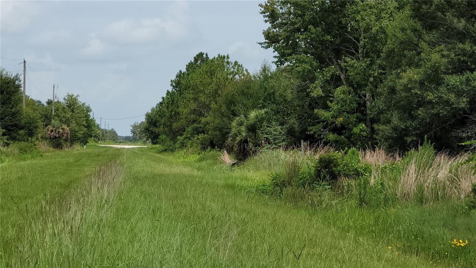 Land at NW 268TH STREET LOT N, OKEECHOBEE, photo 4 of 17
