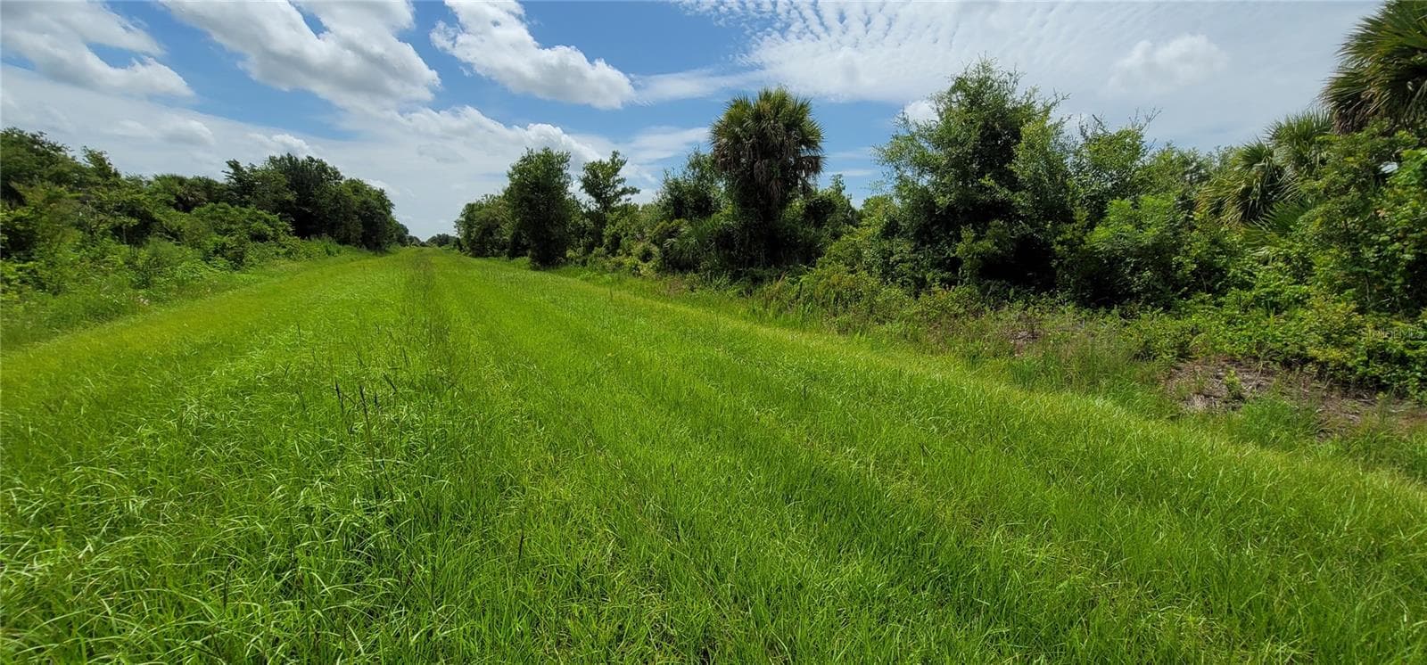 Land at NW 268TH STREET LOT N, OKEECHOBEE, photo 5 of 17