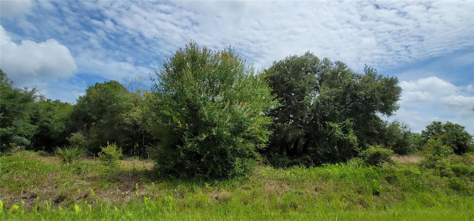 Land at NW 268TH STREET LOT N, OKEECHOBEE, photo 3 of 17