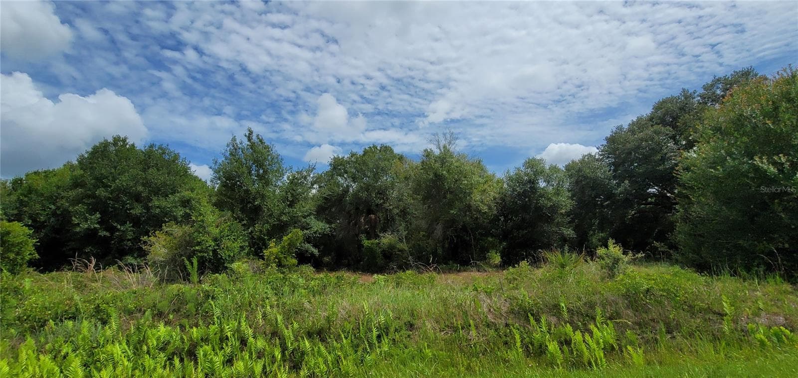 Land at NW 268TH STREET LOT N, OKEECHOBEE, photo 6 of 17