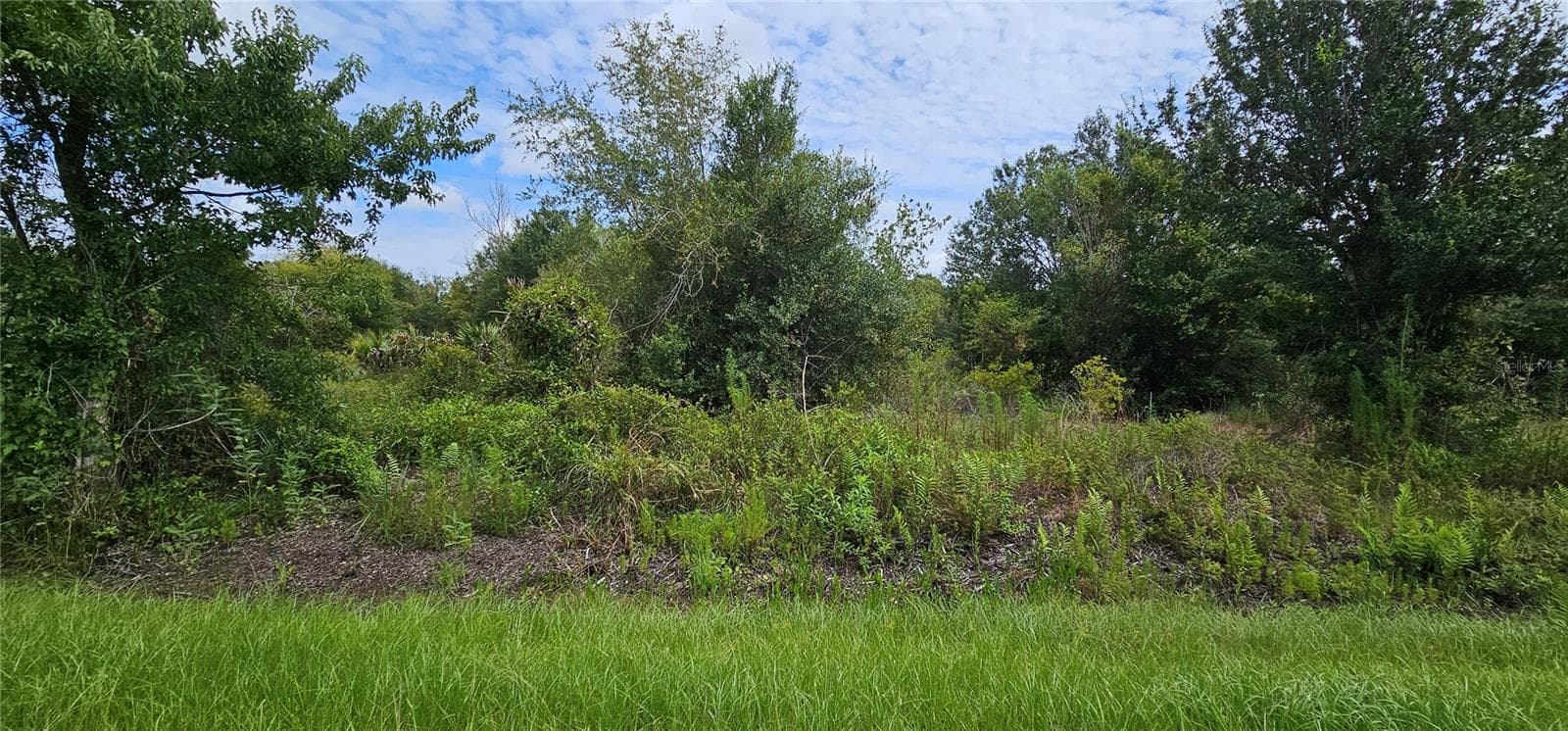 Land at NW 268TH STREET LOT N, OKEECHOBEE, photo 8 of 17