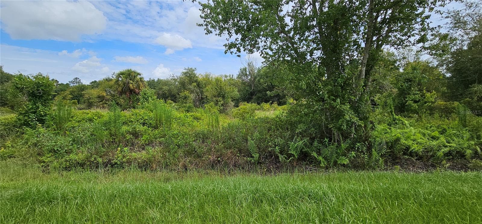 Land at NW 268TH STREET LOT N, OKEECHOBEE, photo 9 of 17