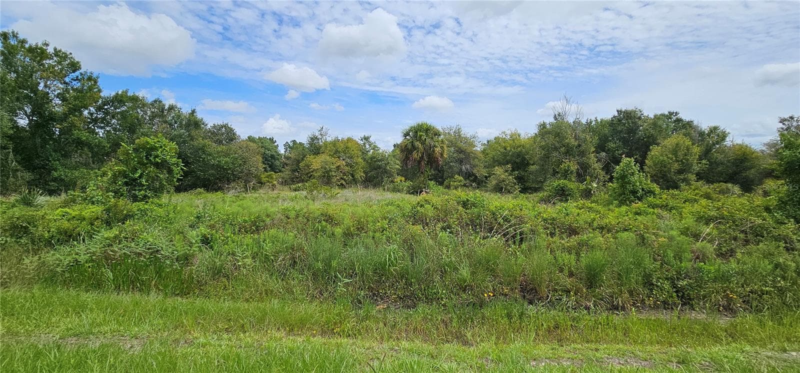 Land at NW 268TH STREET LOT N, OKEECHOBEE, photo 10 of 17