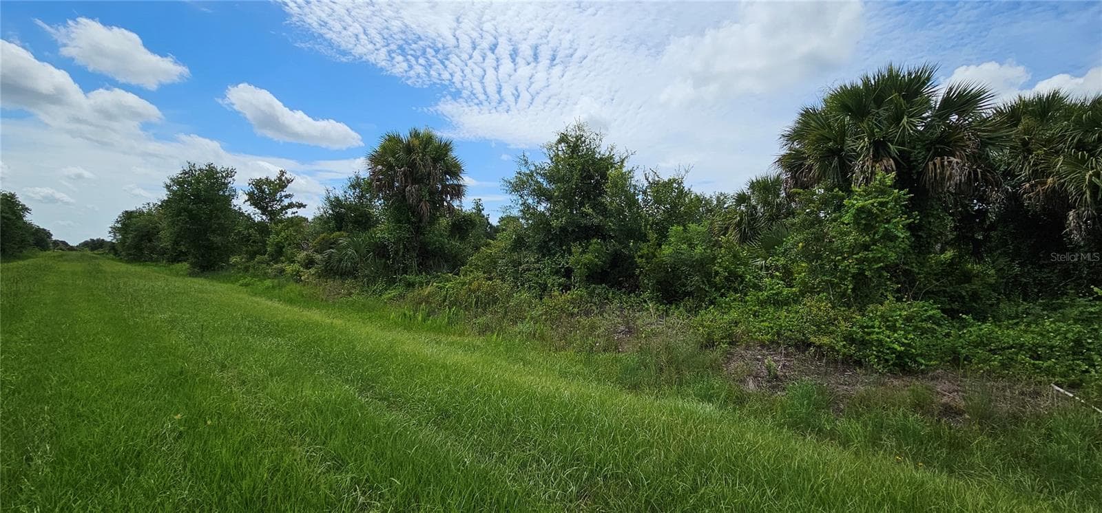Land at NW 268TH STREET LOT N, OKEECHOBEE, photo 12 of 17