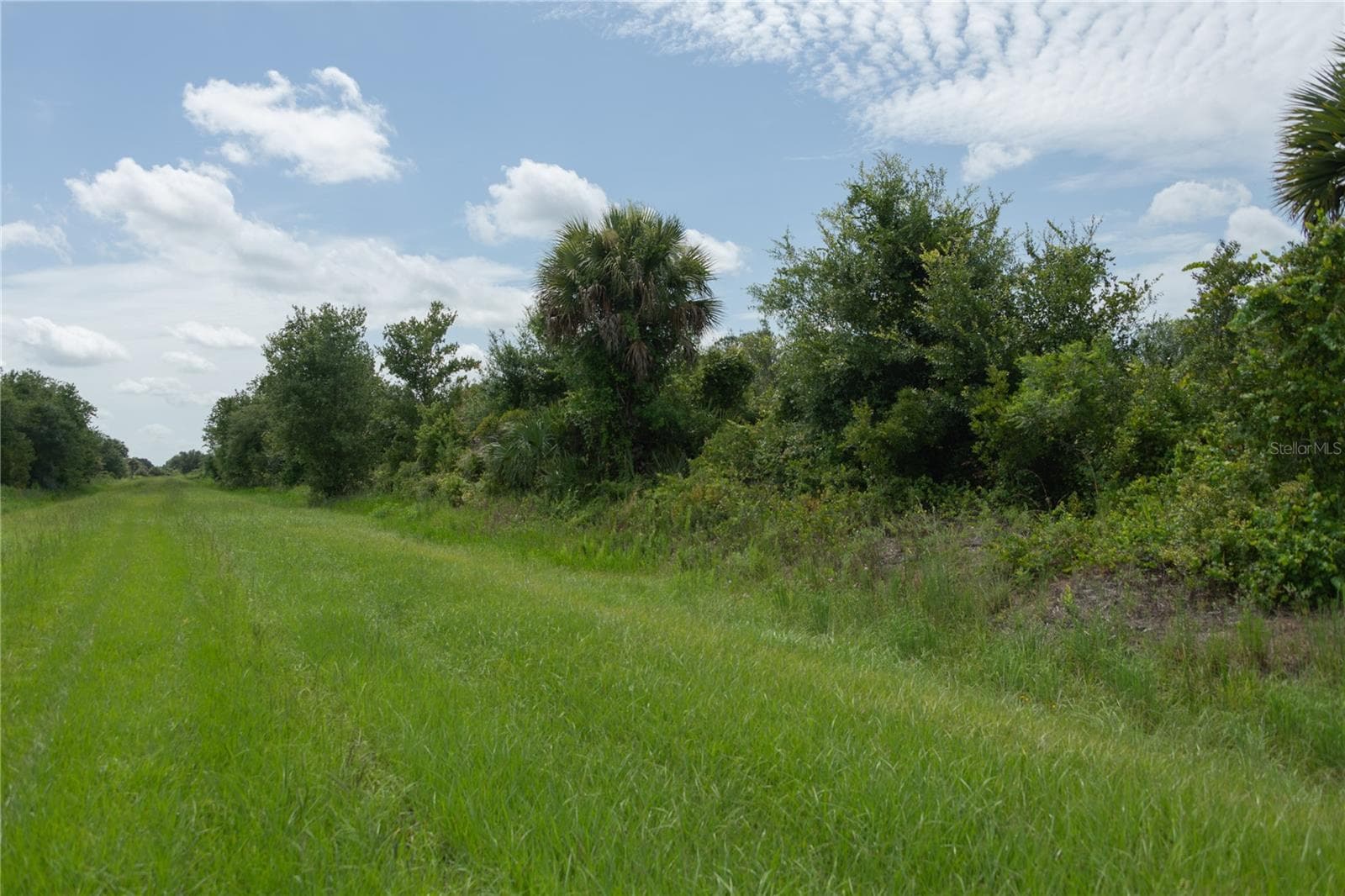 Land at NW 268TH STREET LOT N, OKEECHOBEE, photo 13 of 17