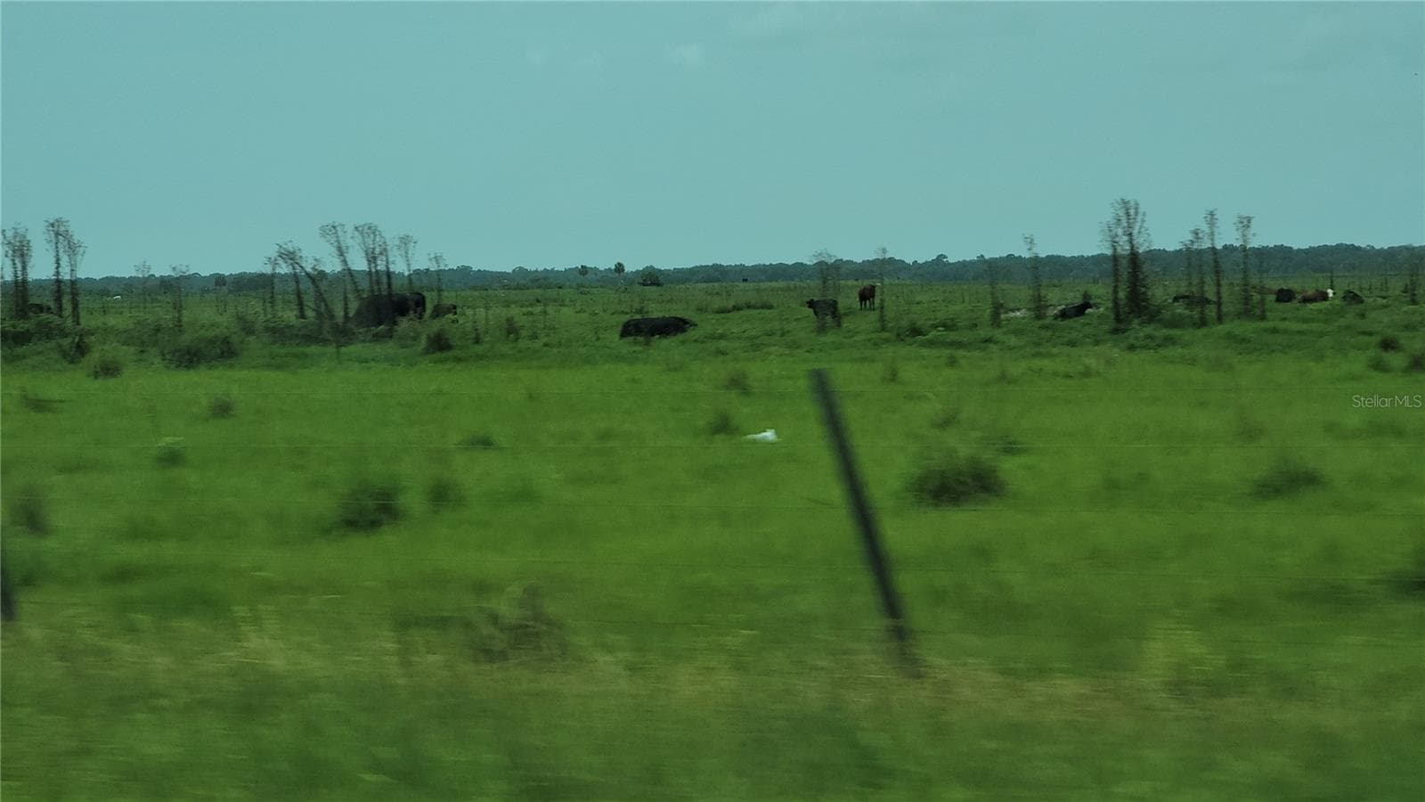 Land at NW 268TH STREET LOT N, OKEECHOBEE, photo 14 of 17