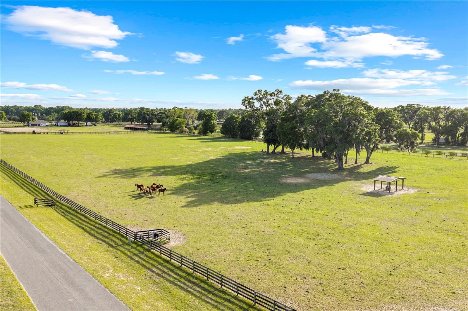 Farm at 1345 NE 155TH PL, CITRA, photo 60 of 69