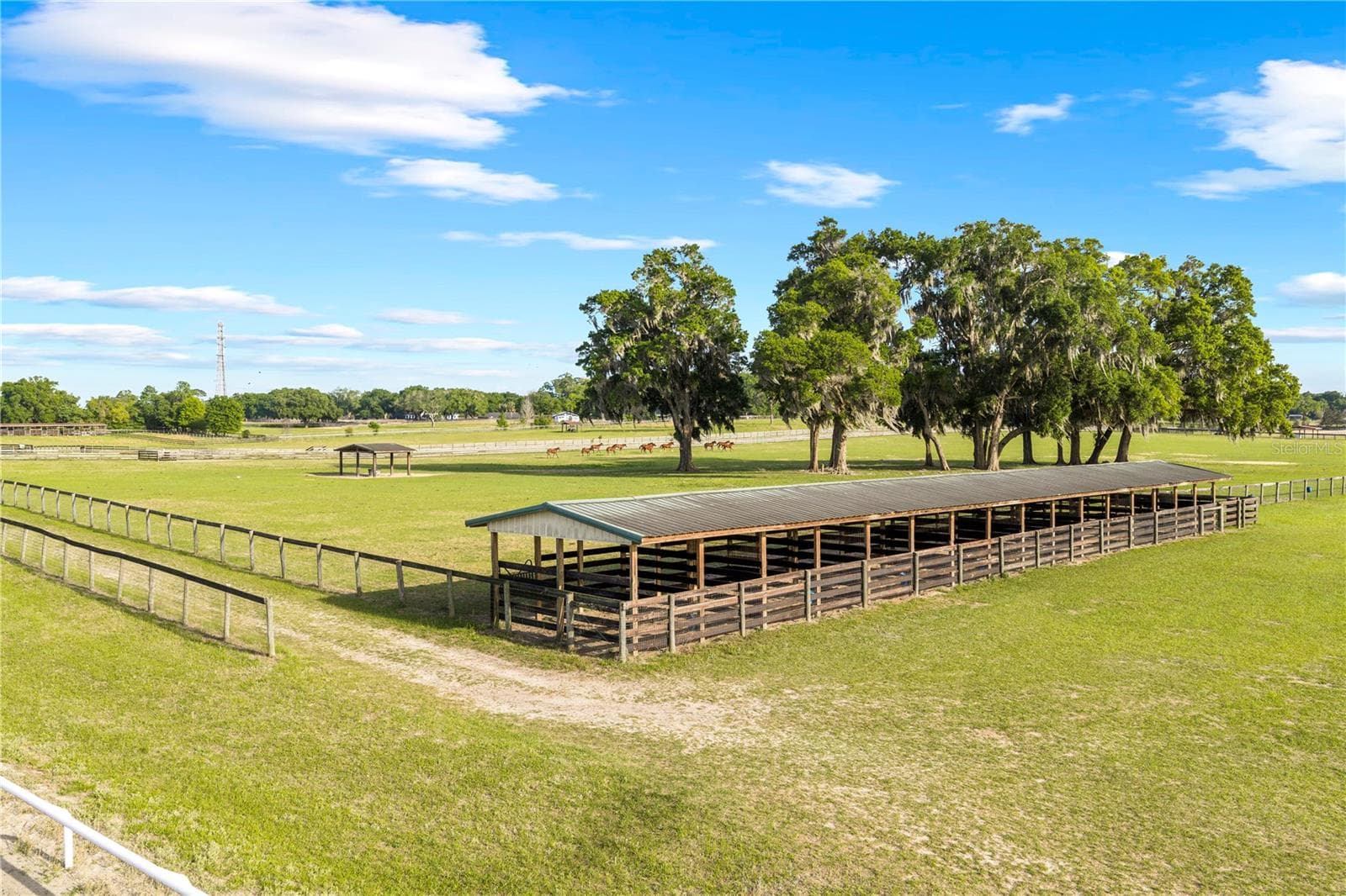 Farm at 1345 NE 155TH PL, CITRA, photo 61 of 69