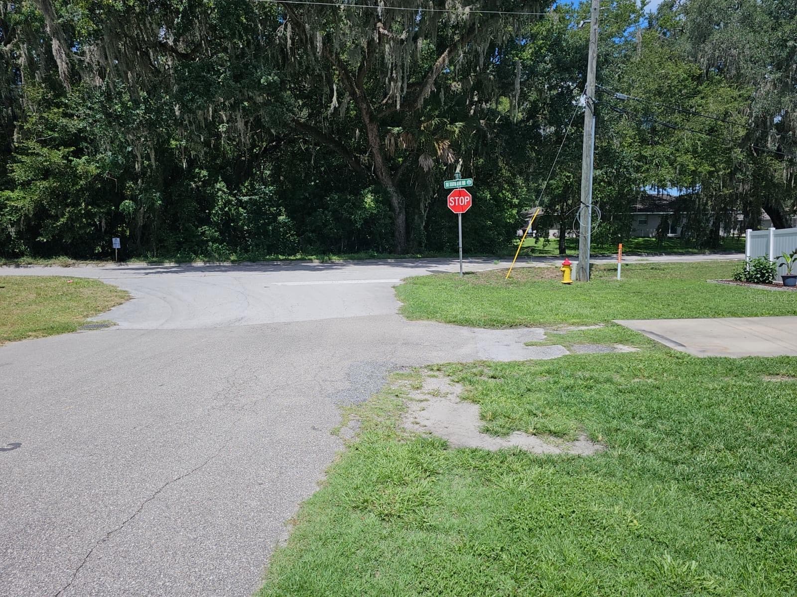 road view in front of house to the right (55th ave rd) Fire Hydrant on the corner - 5203 SE 114TH ST, BELLEVIEW