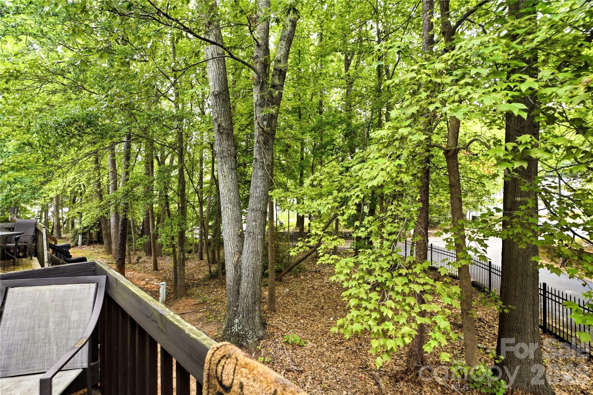View off back deck - 6355 Windsor Gate Lane, Charlotte