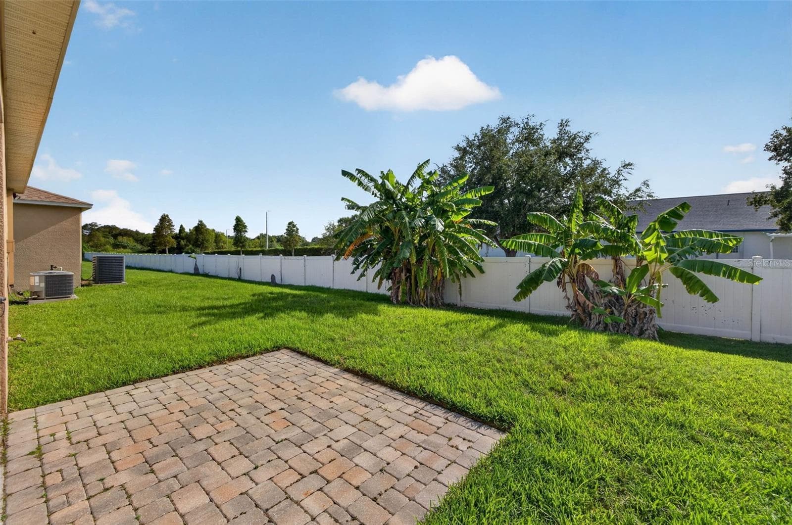 Ample Green Space - Partially Fenced - 14013 HOLLOW LEAF PL, RIVERVIEW