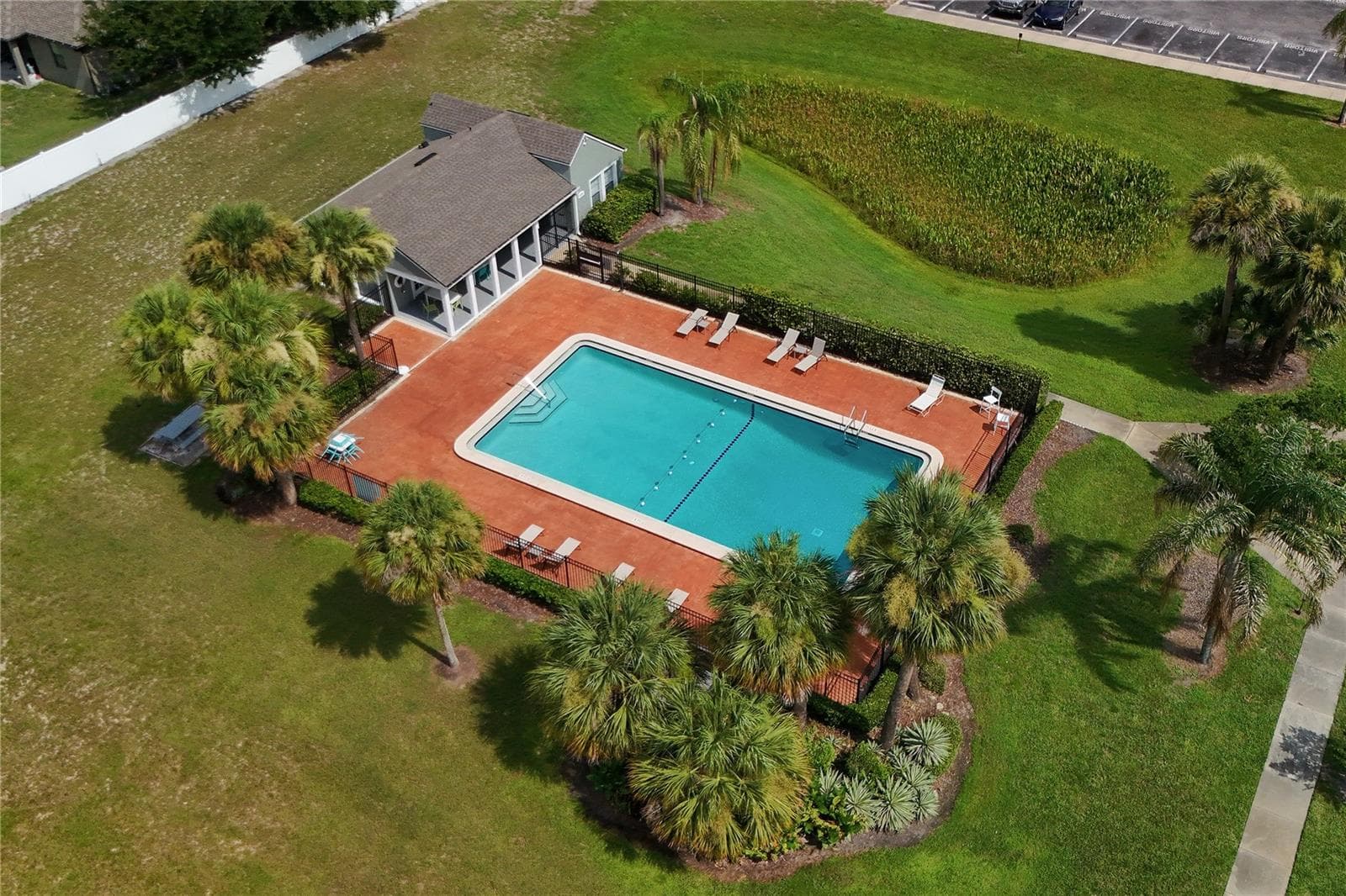 Community Pool - 107 DORCHESTER SQ, LAKE MARY