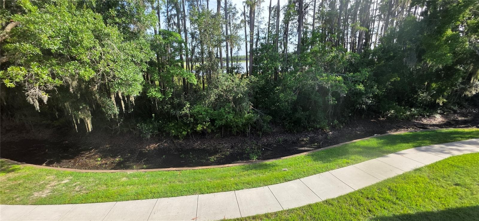 Condominium at 1651 HAMMOCKS AVE, LUTZ, photo 41 of 49