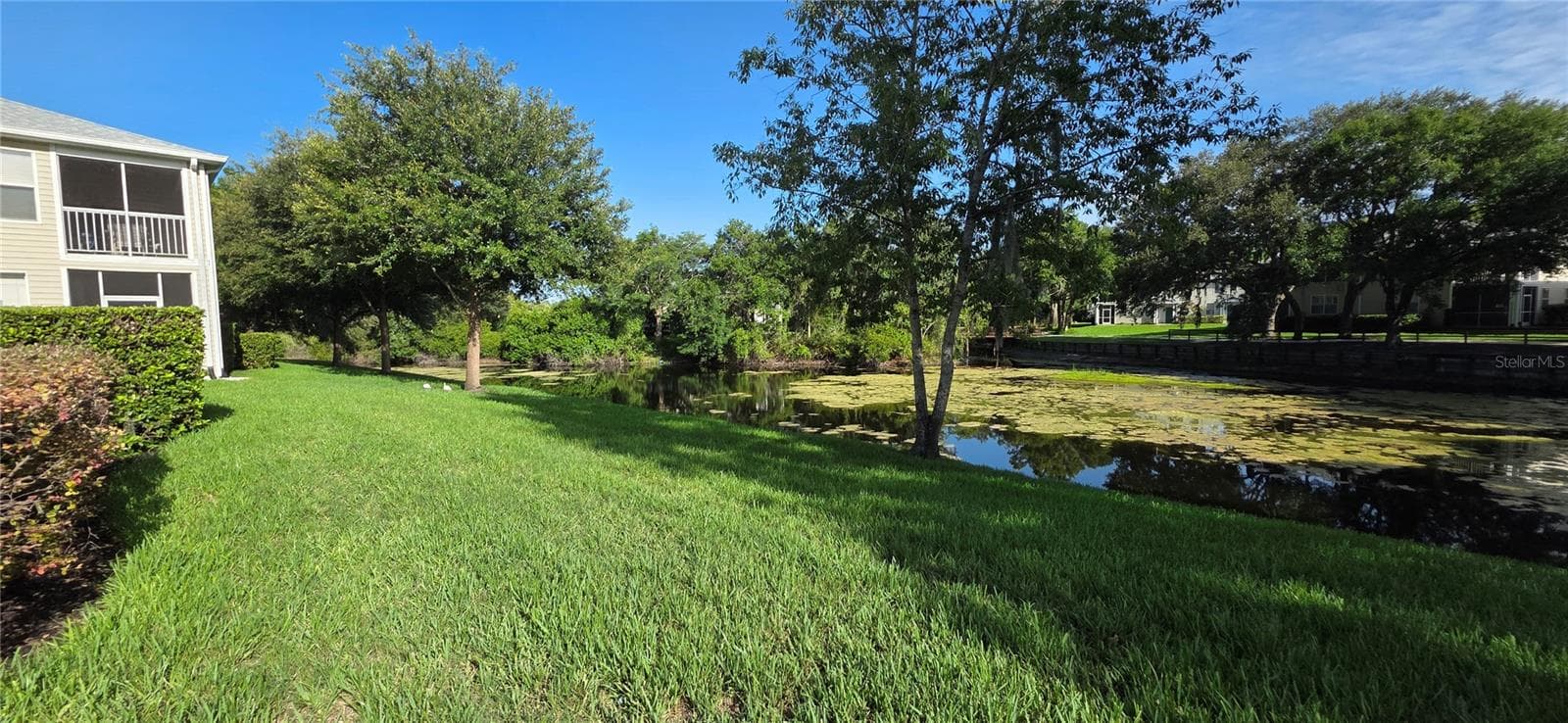 Condominium at 1651 HAMMOCKS AVE, LUTZ, photo 43 of 49