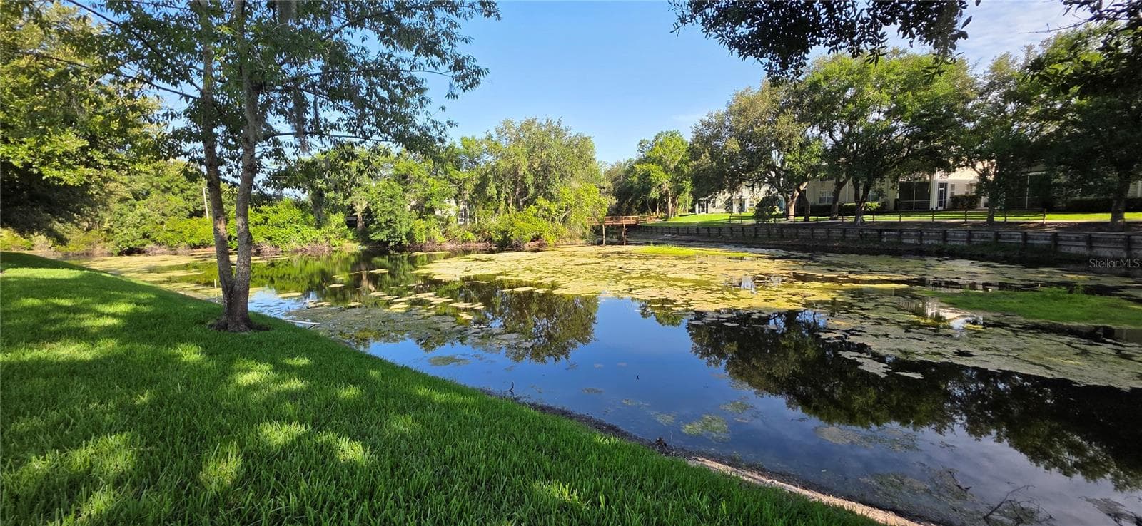 Condominium at 1651 HAMMOCKS AVE, LUTZ, photo 42 of 49