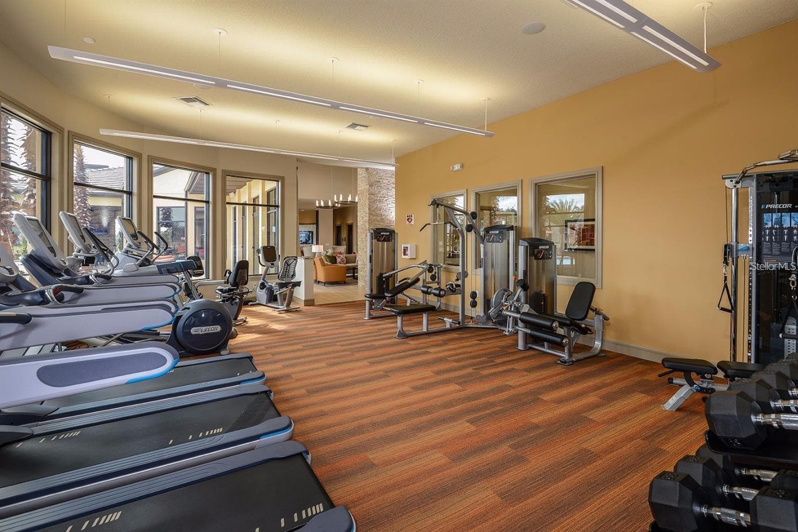 Fitness Center Inside the Oasis Club - 14008 SWALLOW HILL DR, LITHIA