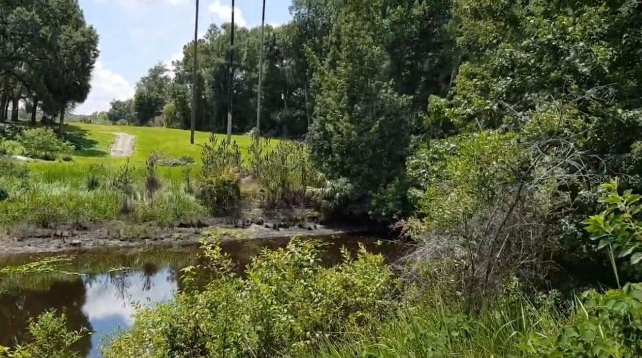 Land at 9438 SE HWY 464C SE, OCKLAWAHA, photo 4 of 12