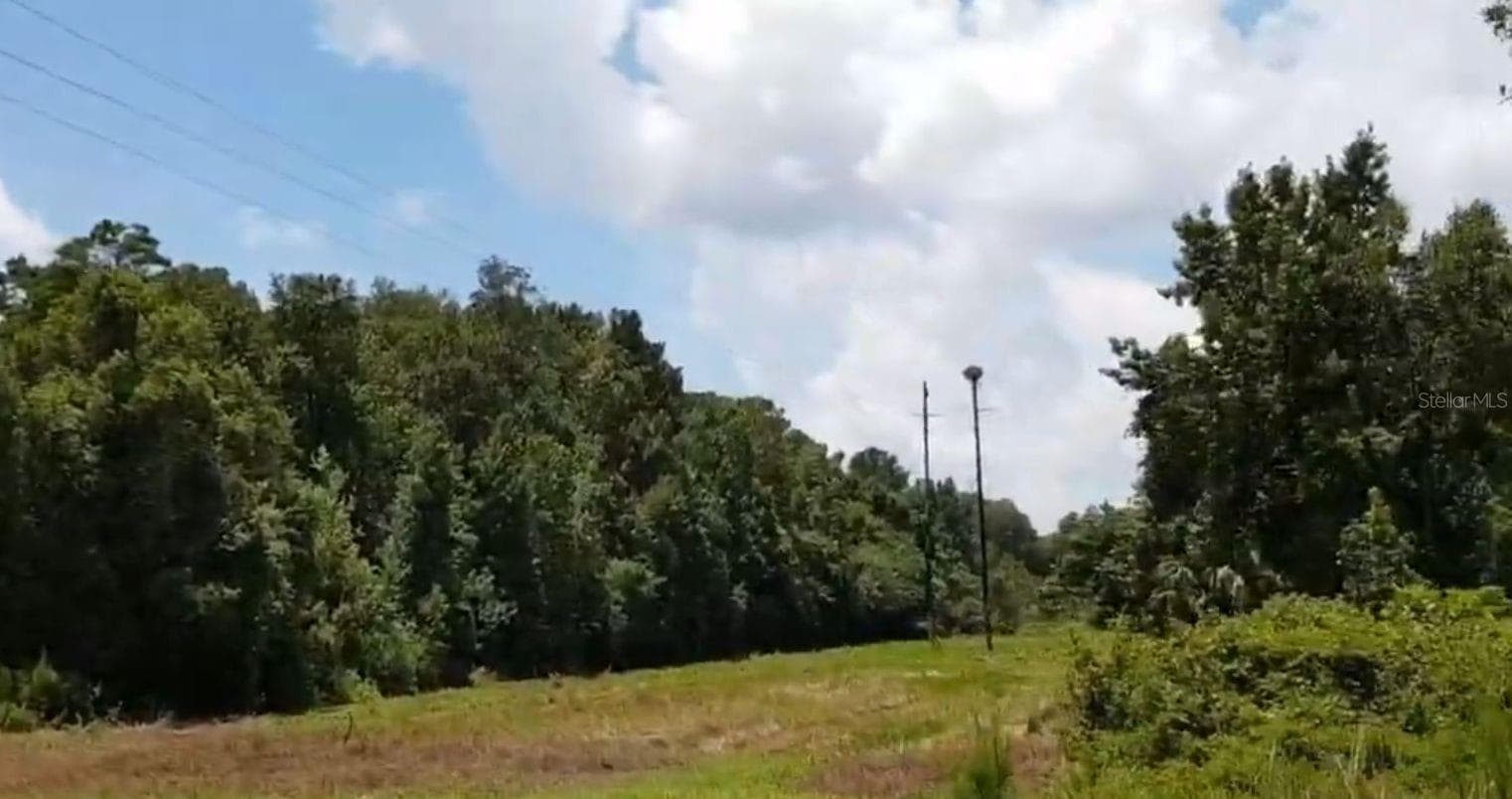 Land at 9438 SE HWY 464C SE, OCKLAWAHA, photo 7 of 12