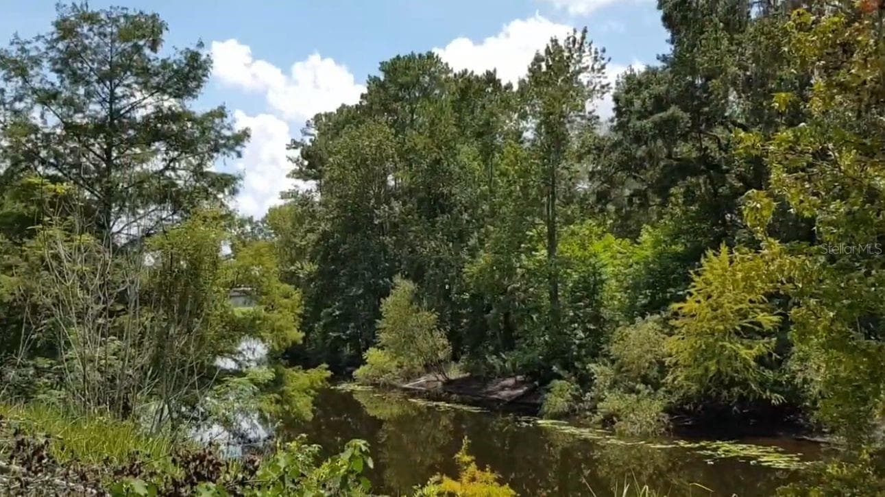 Land at 9438 SE HWY 464C SE, OCKLAWAHA, photo 5 of 12