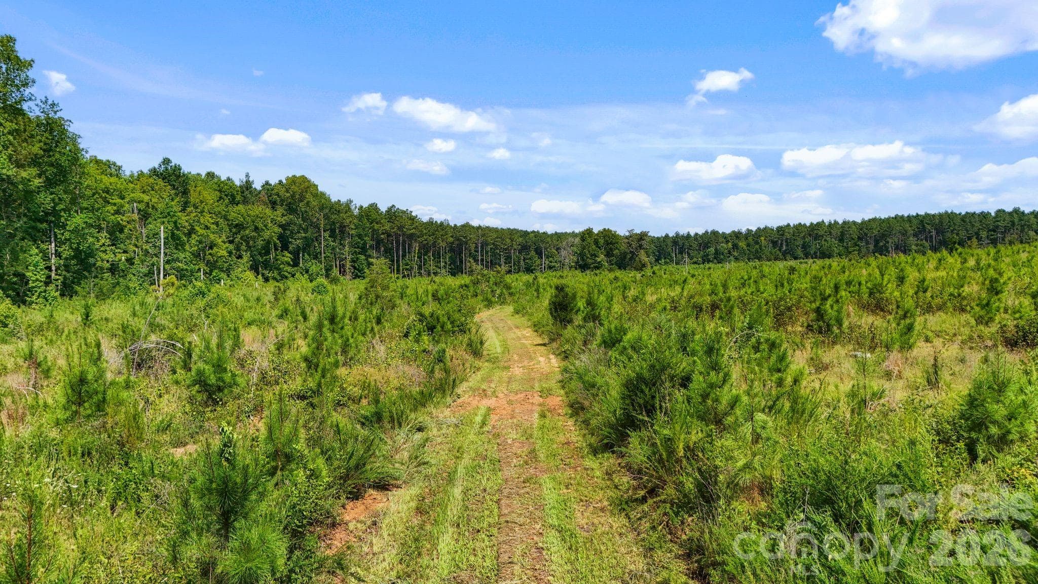 Acreage at 0000 Hwy 72 Highway, Carlisle, photo 25 of 35