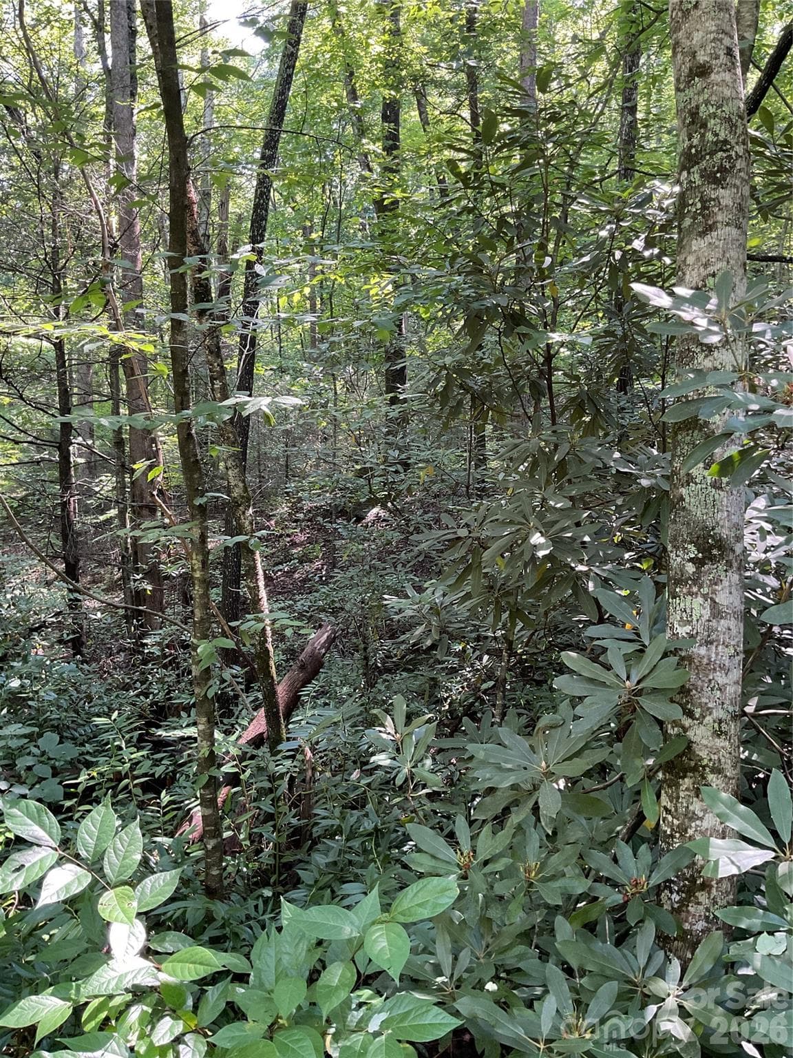 Acreage at 0 S Poplar Drive, Lake Lure, photo 6 of 19