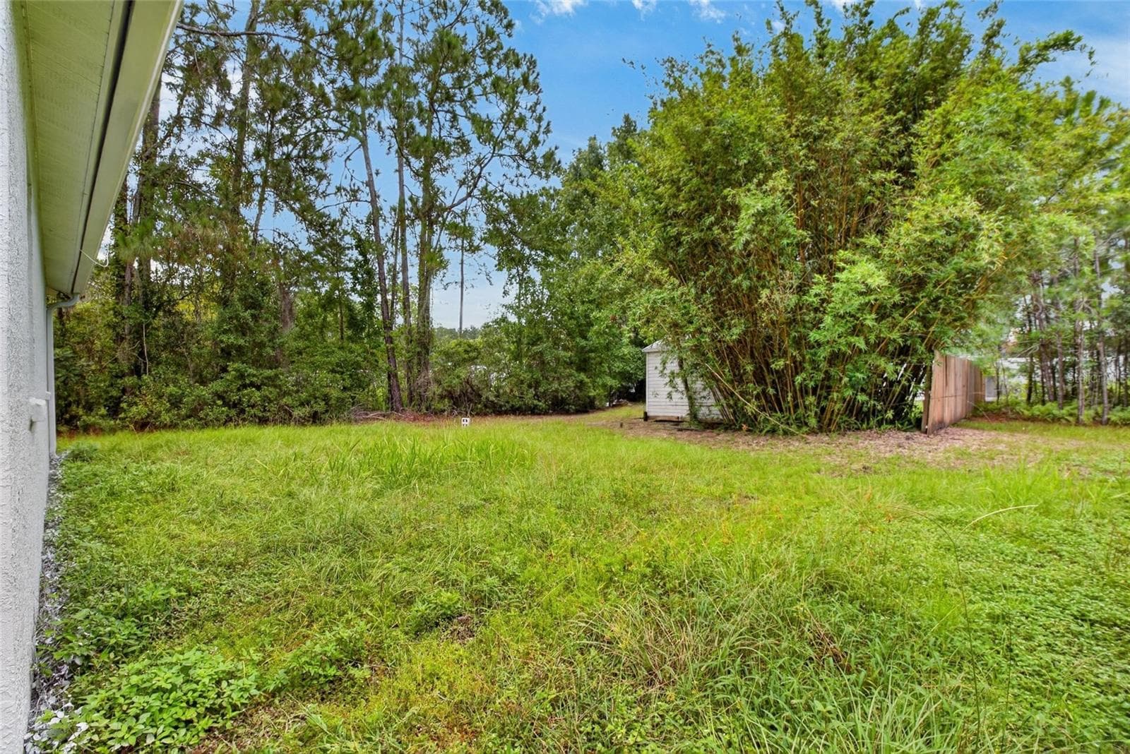 Single Family Residence at 27526 GREEN WILLOW RUN, WESLEY CHAPEL, photo 6 of 78