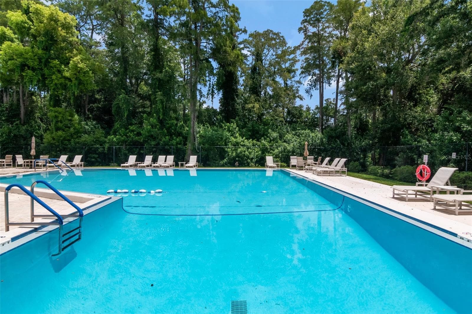 Townhouse at 2655 BARKSDALE CT, CLEARWATER, photo 36 of 37