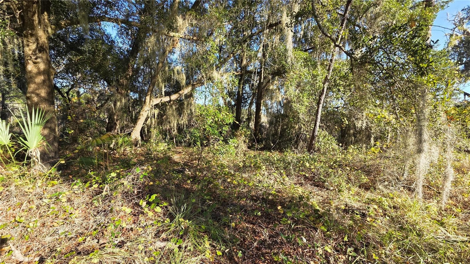 Land at 3009 PARMA DR, DELTONA, photo 2 of 6