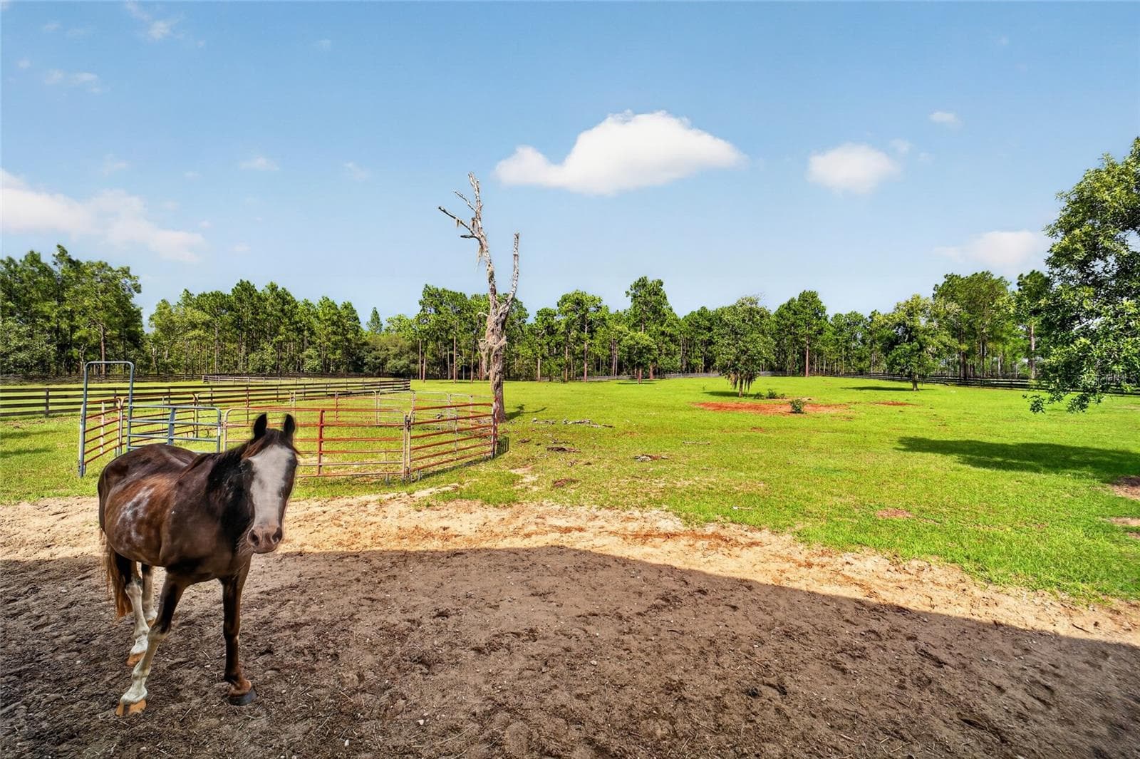 Farm at 6351 SE 140 AVE, MORRISTON, photo 66 of 83