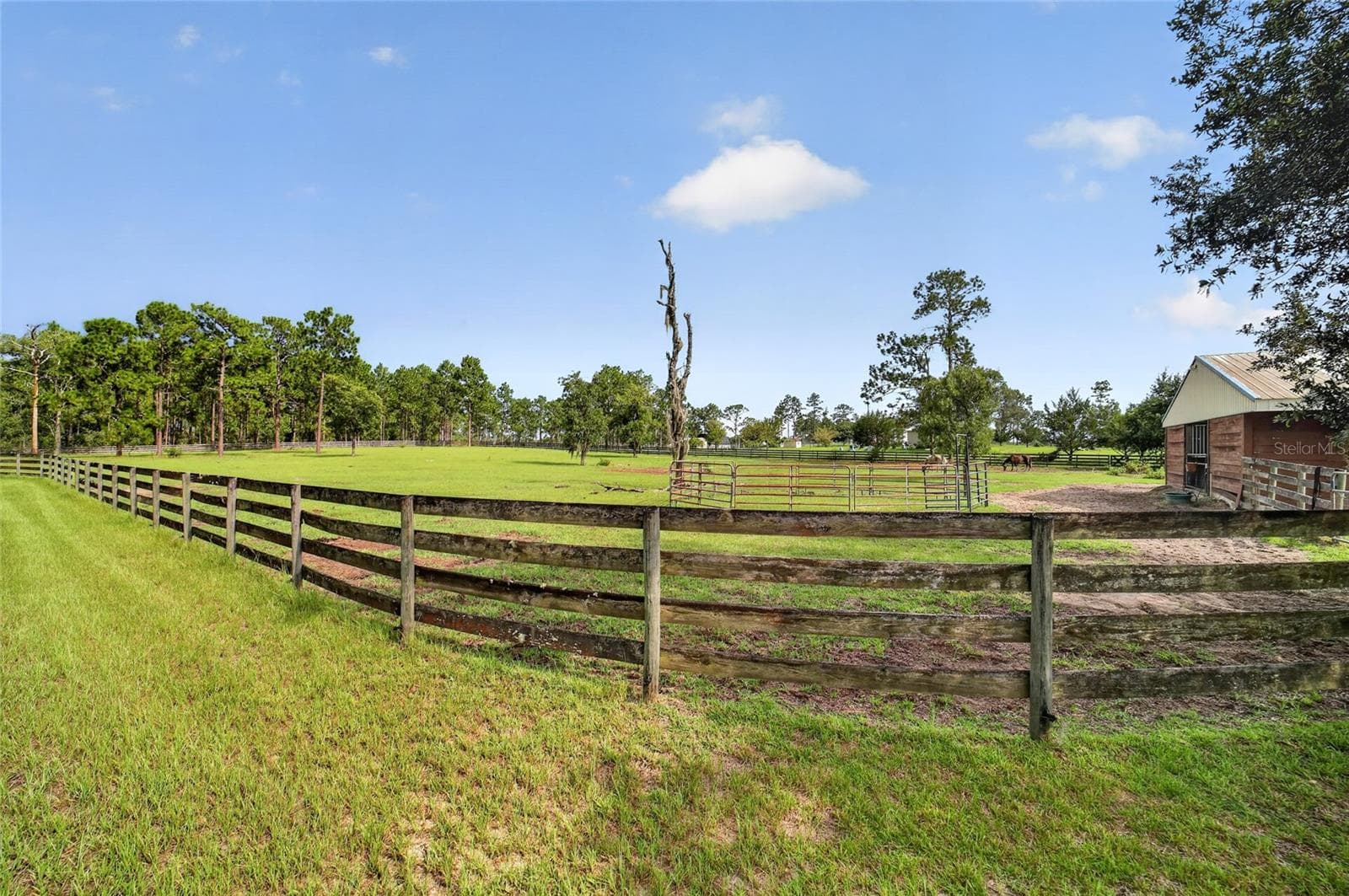 Farm at 6351 SE 140 AVE, MORRISTON, photo 67 of 83