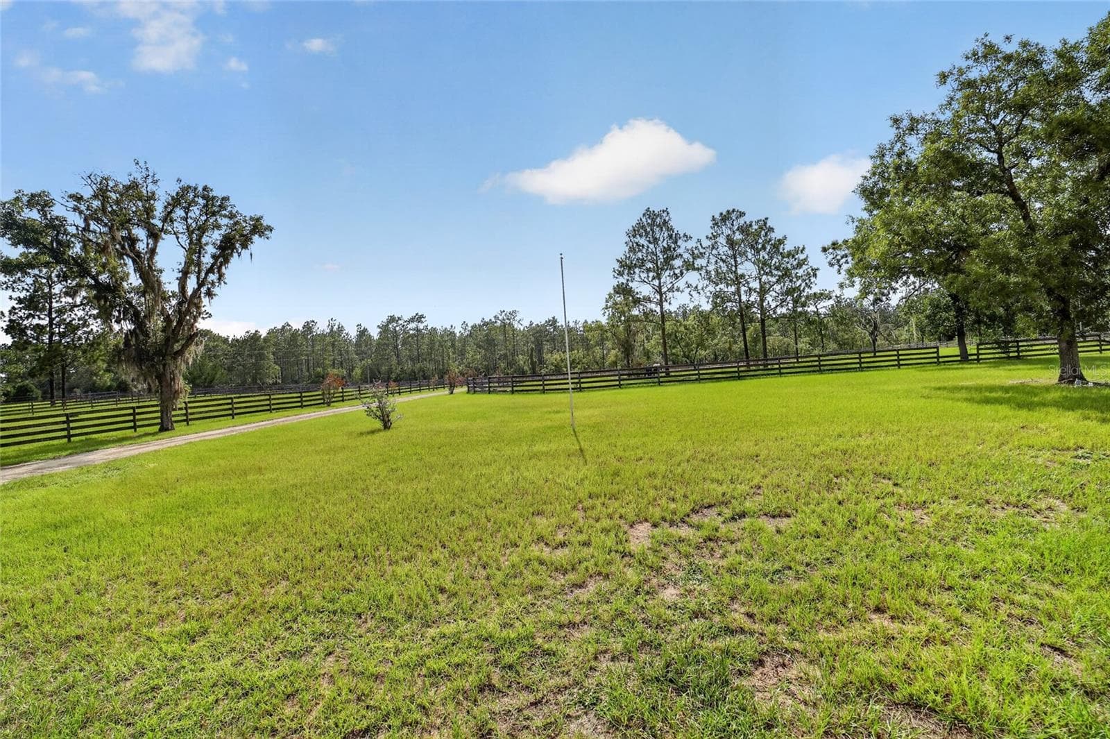 Farm at 6351 SE 140 AVE, MORRISTON, photo 68 of 83