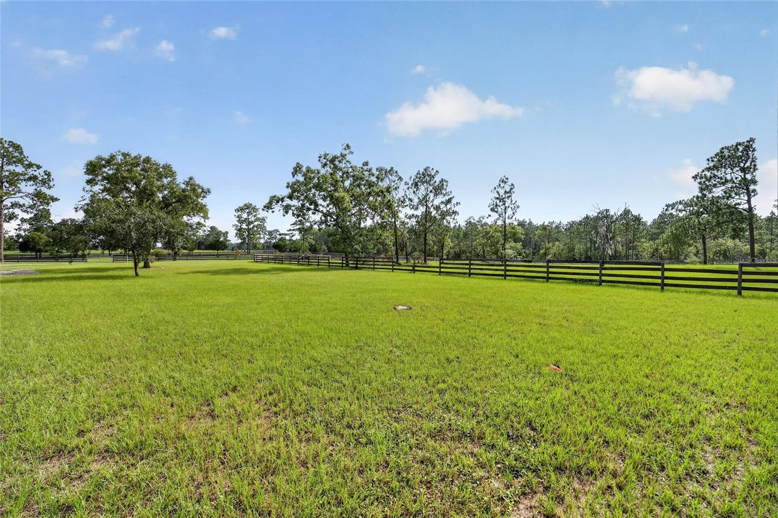 Farm at 6351 SE 140 AVE, MORRISTON, photo 70 of 83