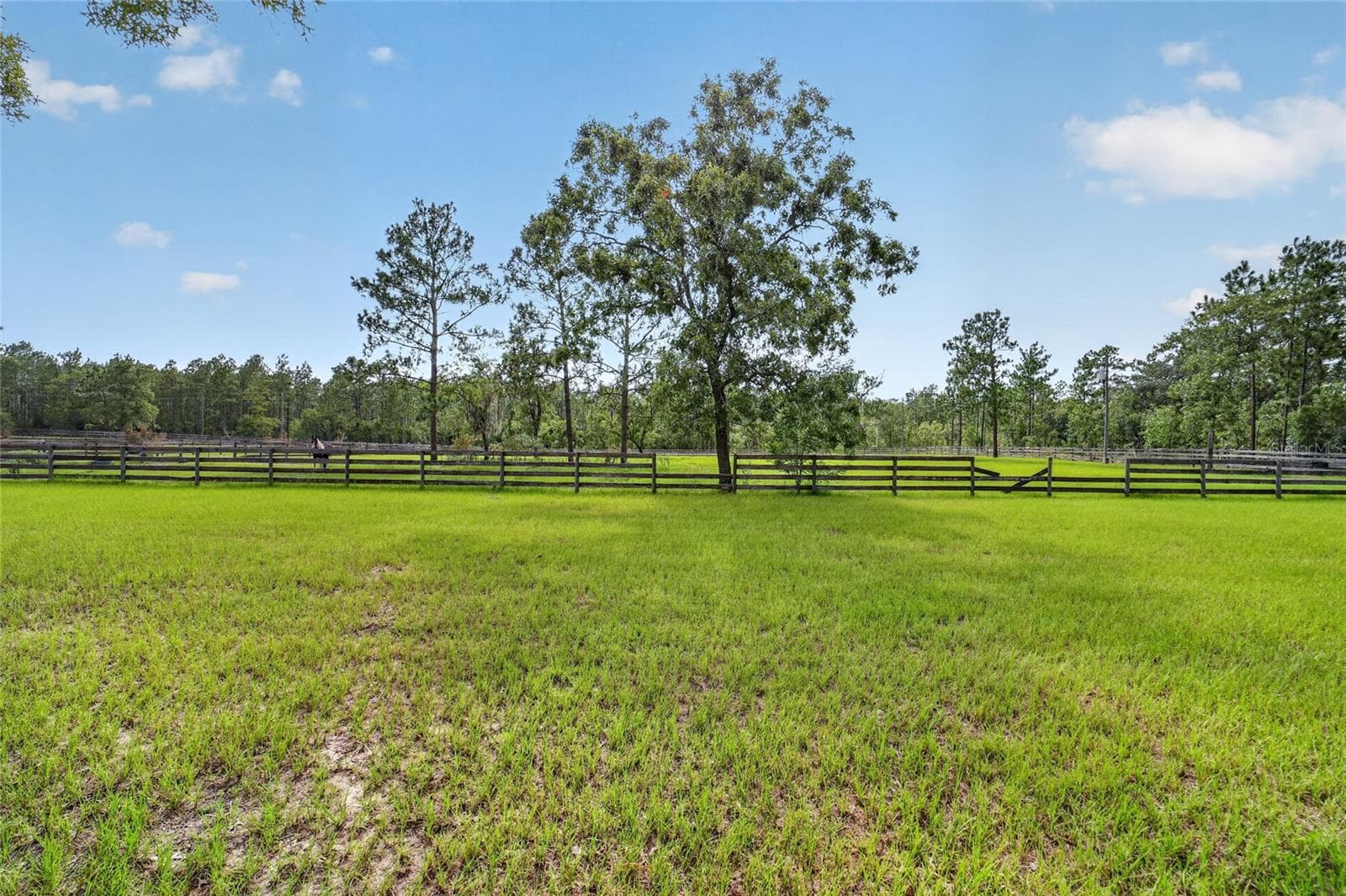 Farm at 6351 SE 140 AVE, MORRISTON, photo 72 of 83